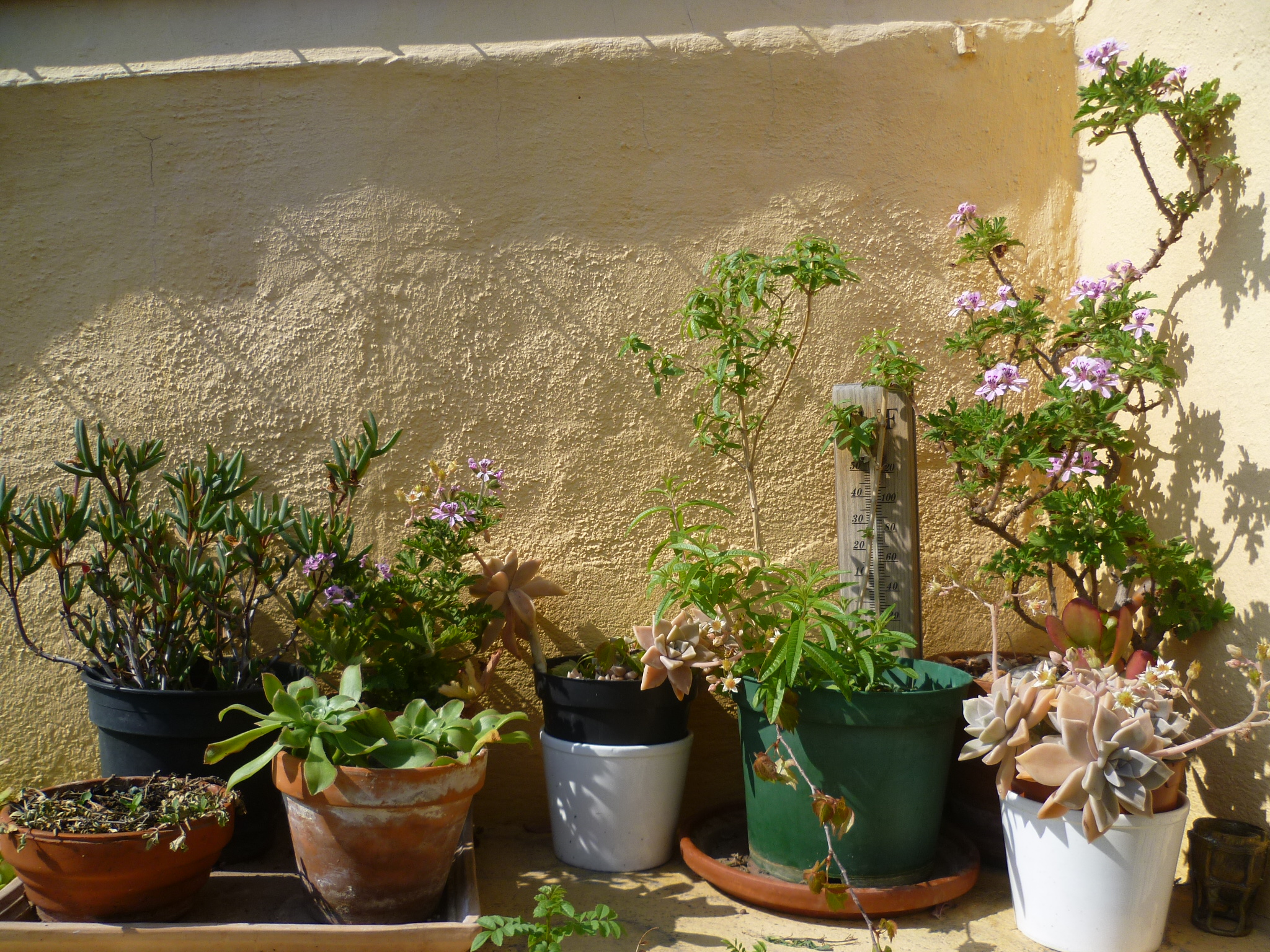 solution-jardin-marseille-paysagiste