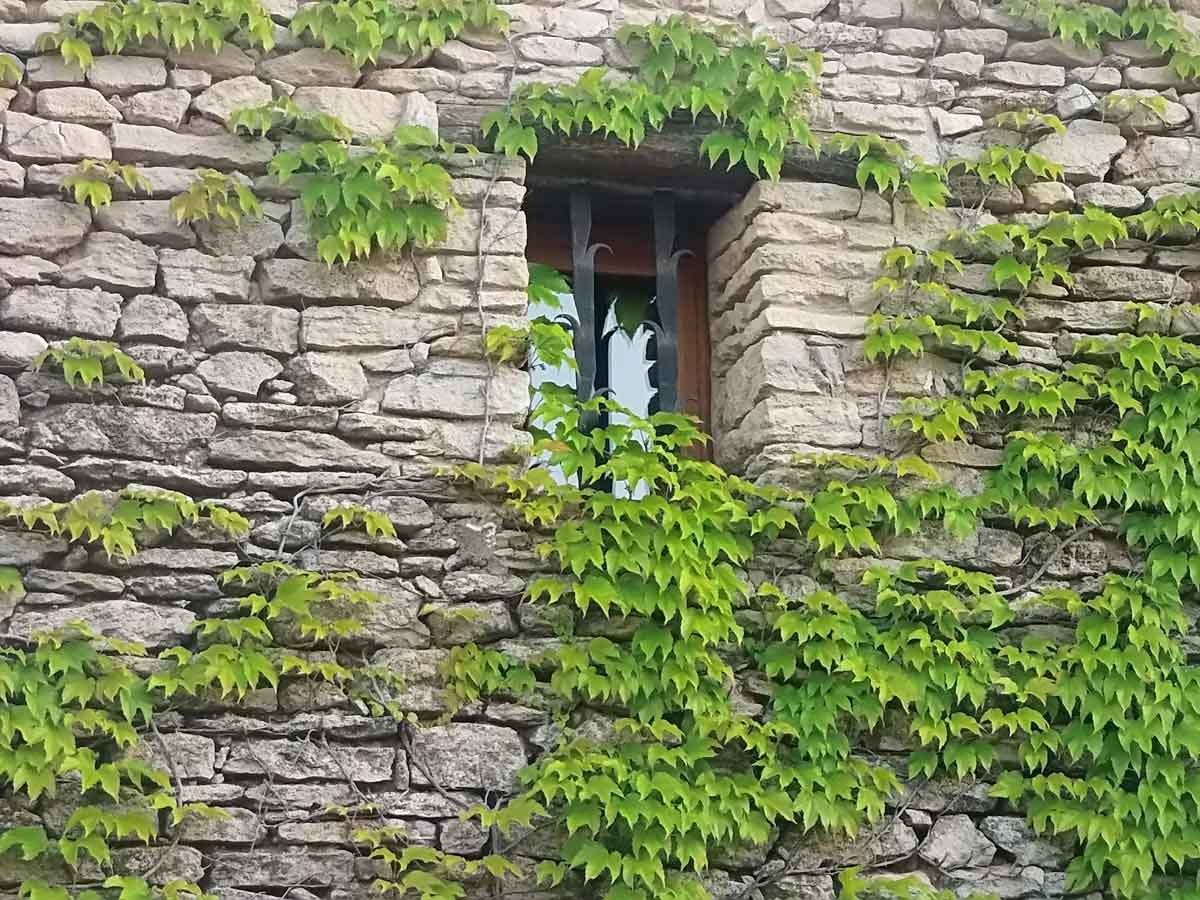 luberon-maison-paysagiste